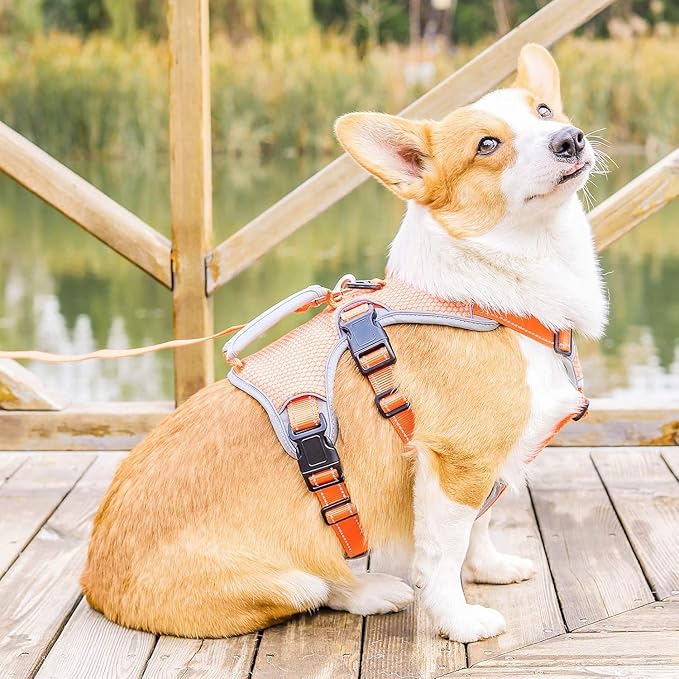 BELPRO Multi-Use Support Dog Harness, Escape Proof No Pull Reflective Adjustable Vest with Durable Handle, Dog Walking Harness for Big/Active Dogs (Orange, XL)