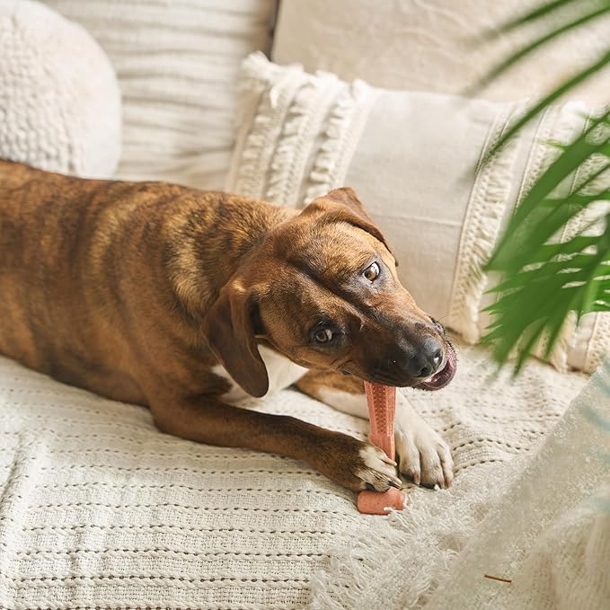 SPOT Bam-Bones Plus T Bone – Bamboo Fiber & Nylon Dog Chew Toy for Moderate to Aggressive Chewers, Durable Long Lasting & Non-Splintering, Beef Flavor Toy for Adult Dogs & Puppies Under 60 lbs, 6 in