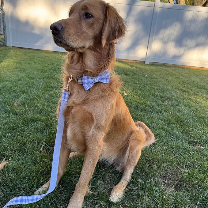 PETDURO Personalized Dog Collar Lavender Plaid for Large Medium Dogs | Engraved Name and Phone Number on Gold Metal Buckle for Girls | Add Leash & Bow Tie via Customize Now