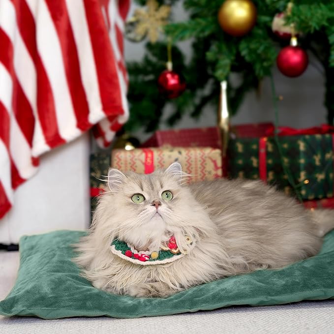 Outdoor Heated Cat Bed, Soft Pet Heating Pad with Steel-Wrapped Cord, Outside Pet Warmer for Feral Cats and Dogs, 27.5" x 15.7", 50 Watts