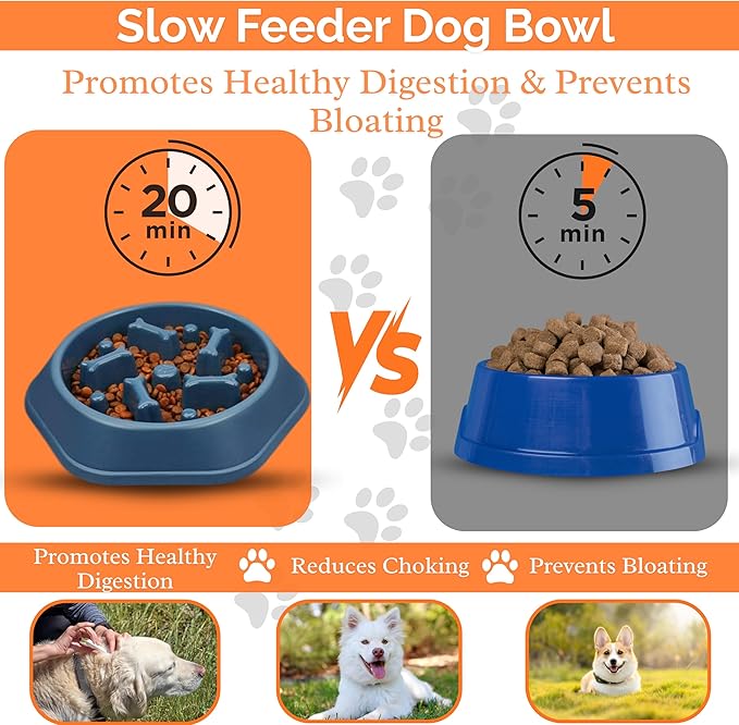 2 PCS Slow Feeder Dog Food Bowl – Bowl Designed to Slow Eating, Promotes Healthy Digestion and Prevents Bloat, Ideal for Cats and Dogs (SkyBlue - Green)