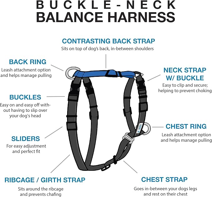 Blue-9 Buckle-Neck Balance Harness, Fully Customizable Fit No-Pull Harness, Ideal for Dog Training and Obedience, Made in The USA, Sky Blue, Medium/Large