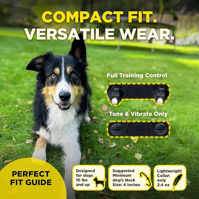 Dogtra 200iQ Remote Training E Collar – 100 Levels, Tone, Vibration, 1/2 Mile Range – Compact, Waterproof, One-Handed Control for Dogs 10 lbs+ – Lightweight Design for Daily Training – Organic Stone