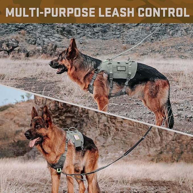 Forestpaw Tactical Dog Harness for Large Dogs,Tactical Dog Collar with Bungee Leash Set,No Pull Military Dog Harness for Walking Training,Adjustable for Medium Large Dogs,Gray,Chest 21.5-45"
