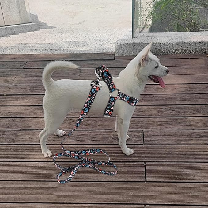 QQPETS Dog Harness Leash Set Adjustable Heavy Duty No Pull Halter Harnesses for Small Medium Large Breed Dogs Back Clip Anti-Twist Perfect for Walking