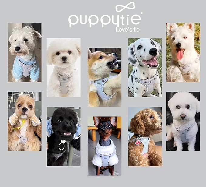 Puppytie No Pull Small Dog Harness with Multifunction Dog Leash,Lightweight Soft Adjustable No Choke Escape Proof Pet Harness Vest Pet Harness Vest,Denim Gray,S