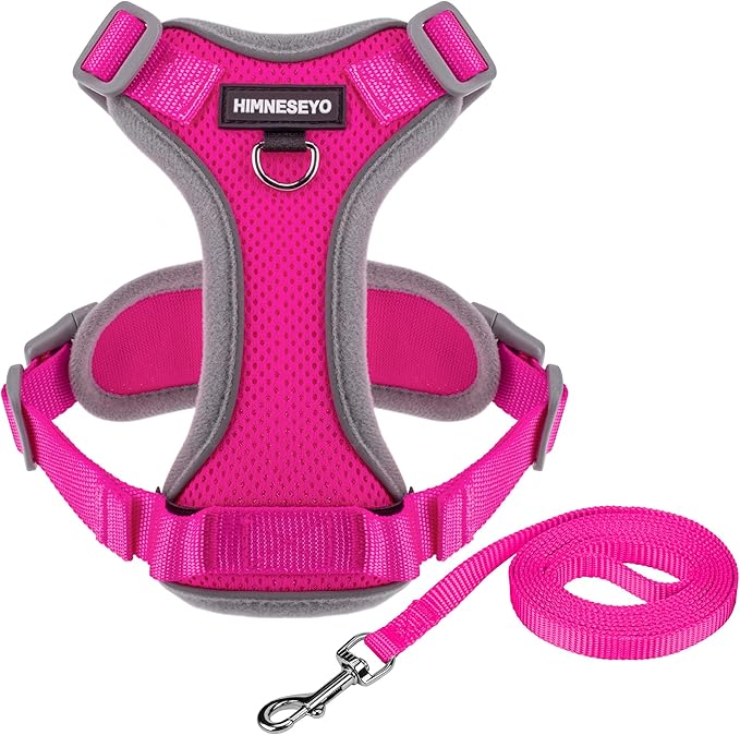 Small Dog Harness and Leash Set，No Pull Adjustable Pet Harness for Small Dogs ，Breathable Mesh Reflective Dog Vest Harness (Rose Red, XS)