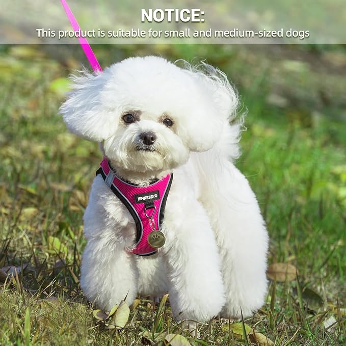 Dog Harness and Leash Set, Dog Harness for Dogs No Pull, No-Chock Step-in Reflective Breathable Lightweight Easy Walk Vest Harnesses with Safety Buckle for Small Medium Dogs, Cats (Rose red, XXS)