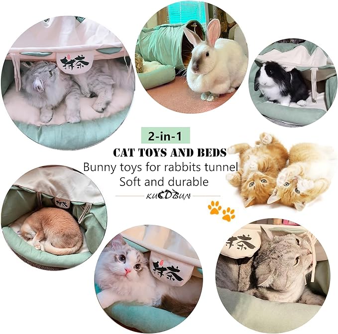 Cat Tunnel Bed, 2-in-1 Collapsible Cat Tunnel Tubes Toys with Removable Mat for Pet Cats Kittens Puppies Rabbits Bunnies Ferrets (Matcha)