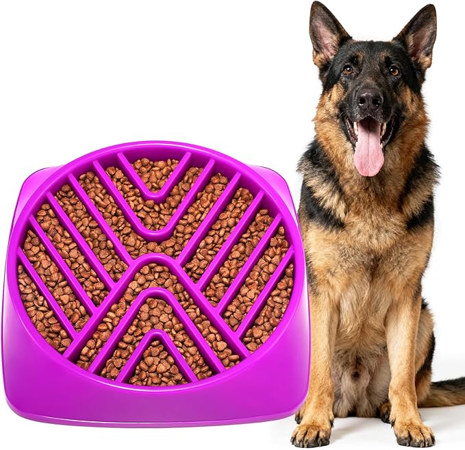 KASBAH Slow Feeder Dog Bowls Large Breed, Holds 5 Cups Wet or Dry Food for Large and Medium Dogs,Puzzle Maze for Fast Eaters,Square Base,Non-Slip, Made Without BPA,Helps Prevent Bloat & Aid Digestion