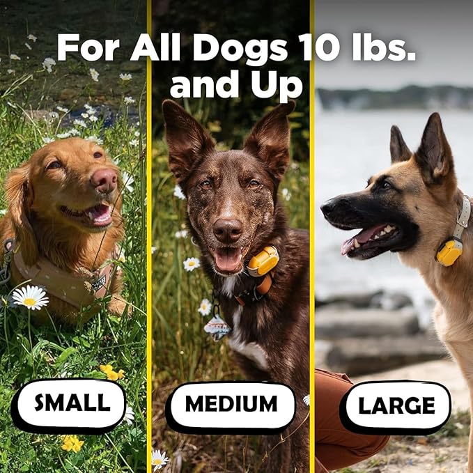 Dogtra CUE Yellow – E-Collar for Dogs Training Collar with Remote – Training Made Easy for Everyday Dog Owners – Gentle Vibration, Custom Boost, Waterproof, Rechargeable, 400-Yard Range System