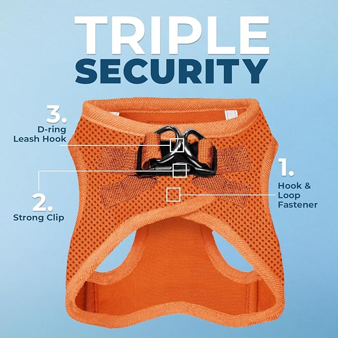 Voyager Step-in Air All Weather Mesh Harness and Reflective Dog 5 ft Leash Combo with Neoprene Handle, for Small, Medium and Large Breed Puppies by Best Pet Supplies - Harness Leash Set (Orange), L