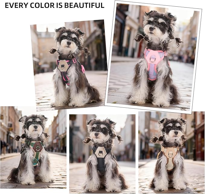 Small Dog Harness and Leash Set, Breathable Mesh Puppy Harness, Adjustable Dog Harness for Small Medium Large Dogs, No-Pull Pet Harness for Daily Walking (Hotpink, S)