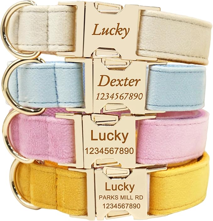 Custom Dog Collar with Name, Optional Leash, Airtag Holder and Bow Tie,Personalized Dog Collars for Small Medium Large Dogs,Cute Collar for Male Female Dogs (Velvet-Series)