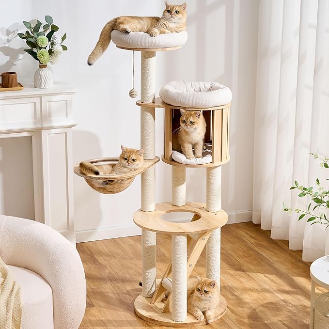 797Audio Solid Wood Cat Tree, 61" Large Modern Tall Cat Tower with Sisal Scratching Posts, Cat Condo, Capsule and Ladder, Aesthetic Multi-Level Cat Climbing Tree for Large Adult Indoor Adult Cats