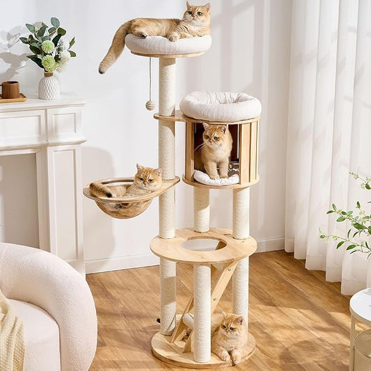797Audio Solid Wood Cat Tree, 61" Large Modern Tall Cat Tower with Sisal Scratching Posts, Cat Condo, Capsule and Ladder, Aesthetic Multi-Level Cat Climbing Tree for Large Adult Indoor Adult Cats