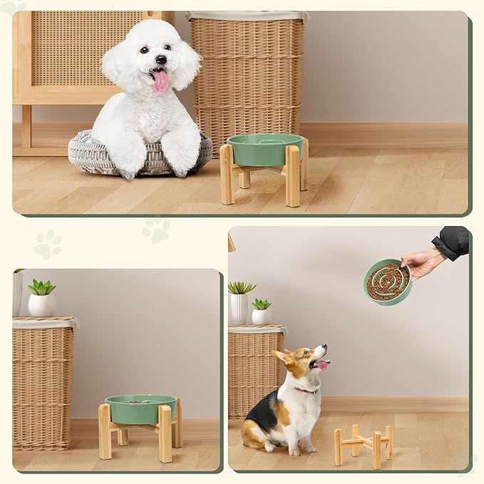 Elevated Slow Feeder Dog Bowl - Ceramic Maze Food Dish with Bamboo Stand - Raised Feeding Bowl for Fast Eaters - Ideal for Small and Medium Dogs - Green - 6.7 inch