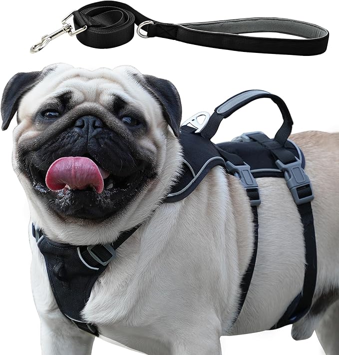 Escape Proof Dog Harness and Leash Set, Lightweight Dog Harness with Lift and Assist Handle, No Pull Reflective Pet Vest for Small Medium Dogs, Ideal for Puppy Walking and Training (Black, S)