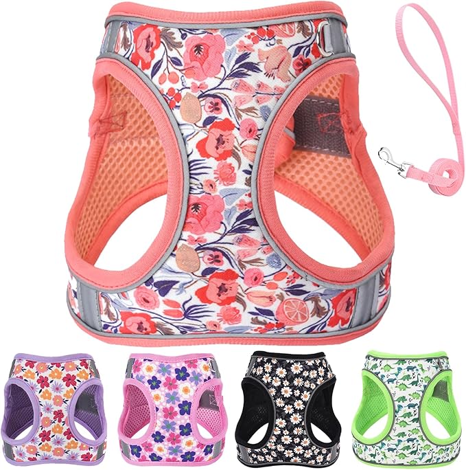 Small Dog Harness and Leash Set, Step in Dog Harness No Pull for Walking Running Training, Puppy Essentials for Dogs Cat Bunny, Adjustable Reflective Dog Vest Harness. (Orange, M)