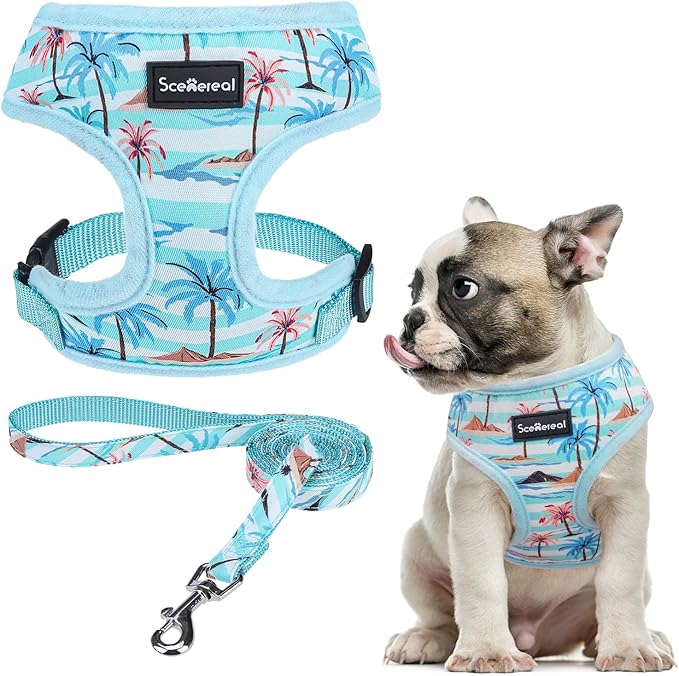 SCENEREAL Small Dog Harness and Leash Collar Set - No Pull Dog Harness for Small & Medium Sized Dogs - Soft Mesh Vest for Puppies, Chihuahua, Yorkie, Spring Summer Hiking Walking, Coconut Tree M
