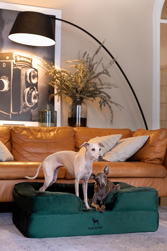 NOAH & PAW Large Dog Bed, 35x25x11 Inch, Orthopedic Dog Beds, Eggshell Memory Foam Infused with Cooling Gel, Inner Cover, Waterproof, Machine Washable (Velvet Sofa Collection)