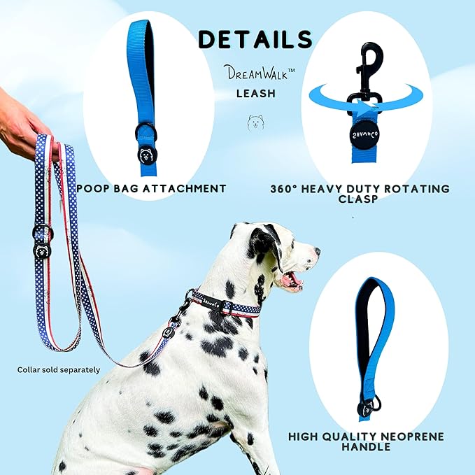 ShawnCo Dream Walk Dog Leash- Premium, Nylon Pet Leash with Soft Neoprene Handle for Small, Medium and Large Dogs (Pacific Blue, Medium/Large)