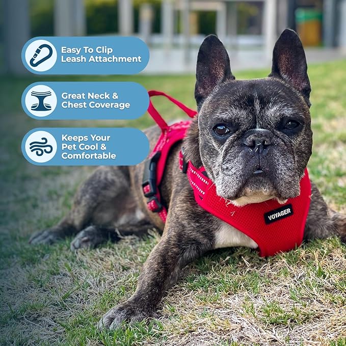 Best Pet Supplies Voyager Mesh Dog Breathable Harness Reflective Stitching, All Weather Adjustable for Walking Training, or Running - Heavy Duty & Durable, Harness (Red), XL
