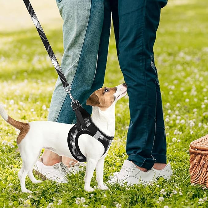 PUPTECK Adjustable Dog Harness Collar and Leash Set Step in No Pull Pet Harness for Small Medium Dogs Puppy and Cats Outdoor Walking Running, Soft Mesh Padded Reflective Vest Harnesses, Black M