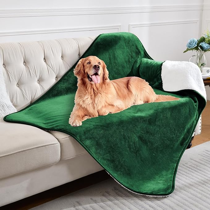 Waterproof Blanket for Bed Couch Sofa, Soft Liquid Pee Proof Pet Blanket for Dog Puppy Cat, Reversible Sherpa Fleece Furniture Protector (Green, 60x80 inches)
