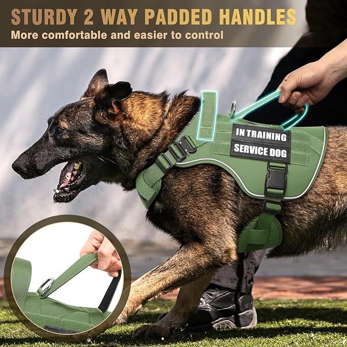 WINSEE Tactical Dog Harness for Large Dog, Heavy Duty Service Dog MOLLE Vest with 10 Pet Patches, No Pull Military Working Vest for Training Hunting Walking