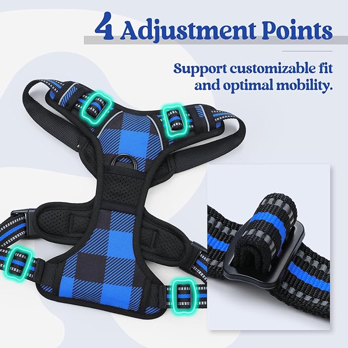 rabbitgoo Dog Harness No-Pull, Comfortable Padded Plaid Harness with Handle Easy Control, Adjustable Reflective Pet Vest with 2 Leash Clips for Small Dog, Blue Plaid, S