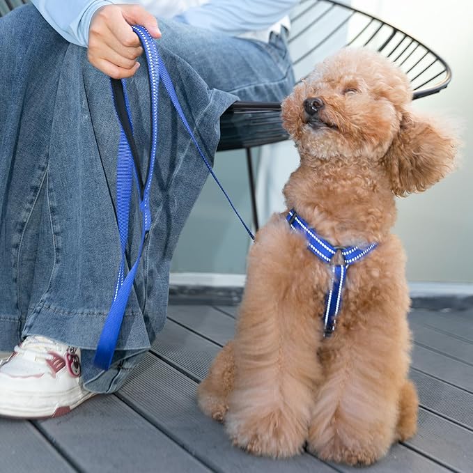 EXCELLENT ELITE SPANKER No Pull Dog Harness Reflective Nylon Vest L-Shaped Adjustable Easy Pet Harness for Small Medium Large Breeds Dogs Walking Training Black Red(Black-S)