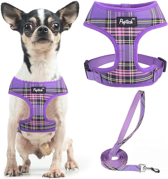 PUPTECK Soft Mesh Dog Harness and Leash Set Pet Puppy Cat Comfort Padded Vest No Pull Harnesses, Purple, XS