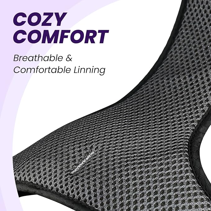 VIVAGLORY Dog Harness Easewalk No Pull Dog Harness with Handle & Front Back Clip for Training Lifting, Easy On Adjustable Padded No Pull for Pet & Puppy, XL, Purple