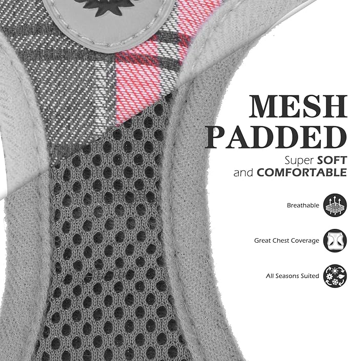 EXPAWLORER Classic Plaid Puppy Harness - Dog Collar and Leash - Soft Mesh Padded Adjustable Step in Small Dog Vest Harness No Pull, Reflective Escape Proof for Outdoor Walking, Grey Small