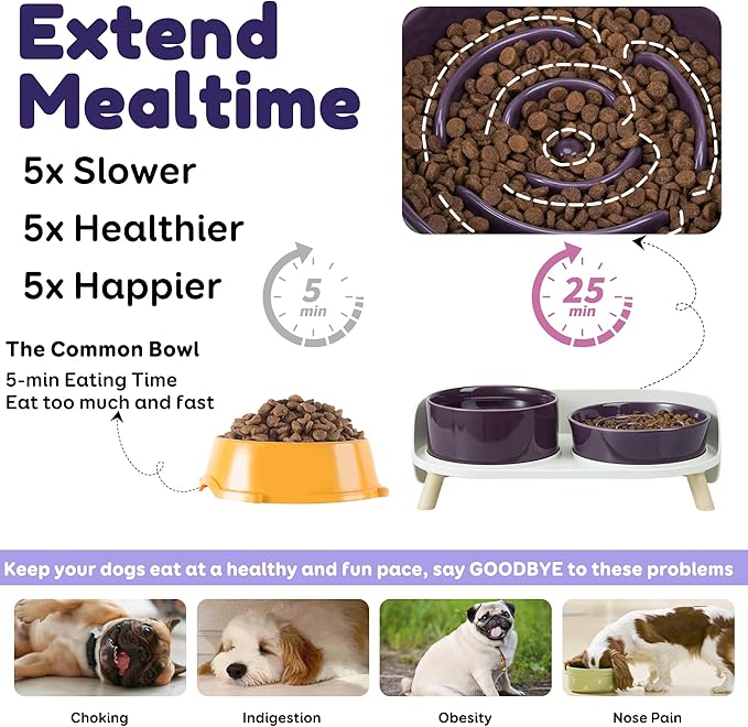 Elevated Slow Feeder Dog Bowls - Ceramic Food and Water Bowl Set with Stand - Raised Pet Dishes for Small and Medium Sized Dogs