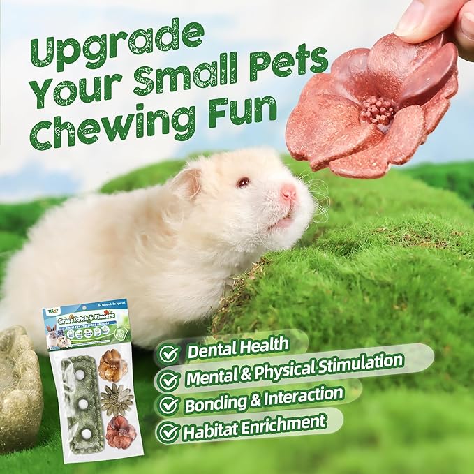 TEEWY Guinea Pig Chew Toys, Prevent Teeth Overgrowth, Natural Timothy Grass & Vegetables, Hamster Chew Toys, Guinea Pig Toys, Chinchilla Toys, 4PCS, Grass Patch & Flowers