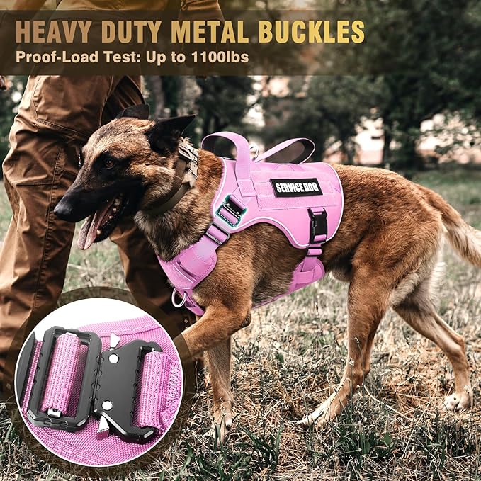 WINSEE Tactical Dog Harness for Medium Dog, Heavy Duty Service Working MOLLE Vest with 10 Pet Patches, 2X Metal Buckle Vest for Training Hunting Walking