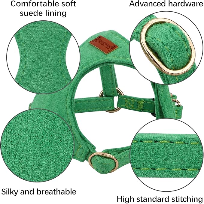 CHEDE No Pull Puppy Harness and Multifunction Dog Leash Set- 8 Colors Soft Adjustable No Choke Escape Proof Cute,Lightweight Pet Vest Harness for Small and Medium Dog (S, Green)