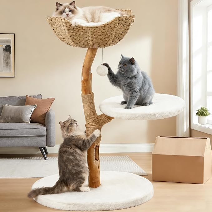 Modern Adult Cat Tree for Large cat Solid Wood Cat Tower for Indoor Cat Tall Cat Condo Cat Climbing Tower with Scratching Post Bed