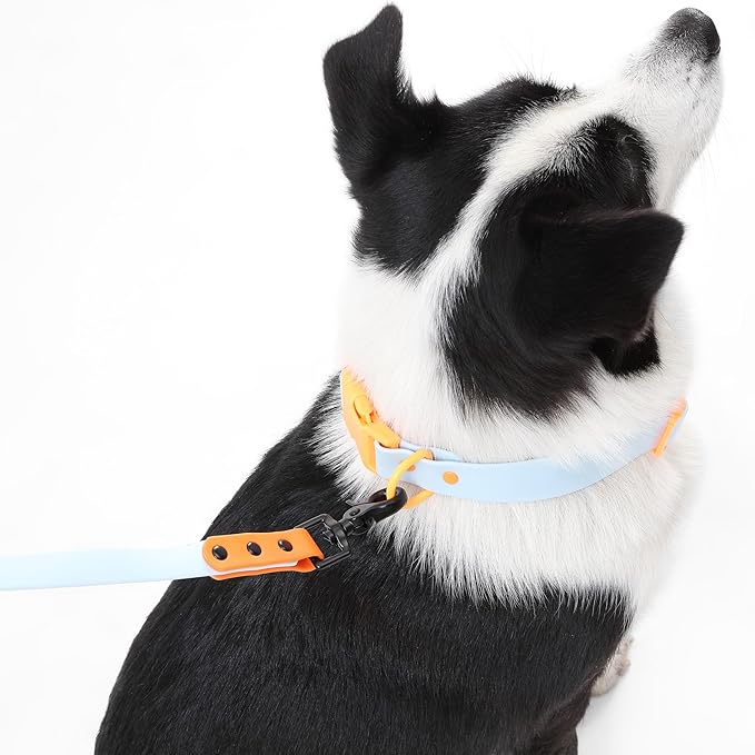 WLK1006D-5SET Luna Large 8FT Adjustable 6-in-1 Waterproof Hands-Free Leash and Collar with LED Flashlight, Bag Dispenser, and Poop Bag Holder, Fishbowl