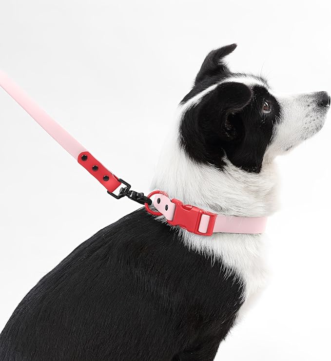 WLK1006G-5SET Luna Large 8FT Adjustable 6-in-1 Waterproof Hands-Free Leash and Collar with LED Flashlight, Bag Dispenser, and Poop Bag Holder, Paloma