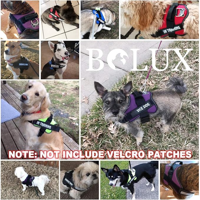 Bolux Dog Harness, No-Pull Reflective Dog Vest, Breathable Adjustable Pet Harness with Handle for Outdoor Walking - No More Pulling, Tugging or Choking (Blue, XXL)