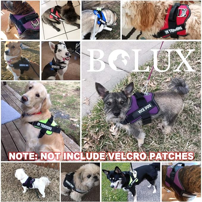 Bolux Dog Harness, No-Pull Reflective Dog Vest, Breathable Adjustable Pet Harness with Handle for Outdoor Walking - No More Pulling, Tugging or Choking (Dark Green, M)
