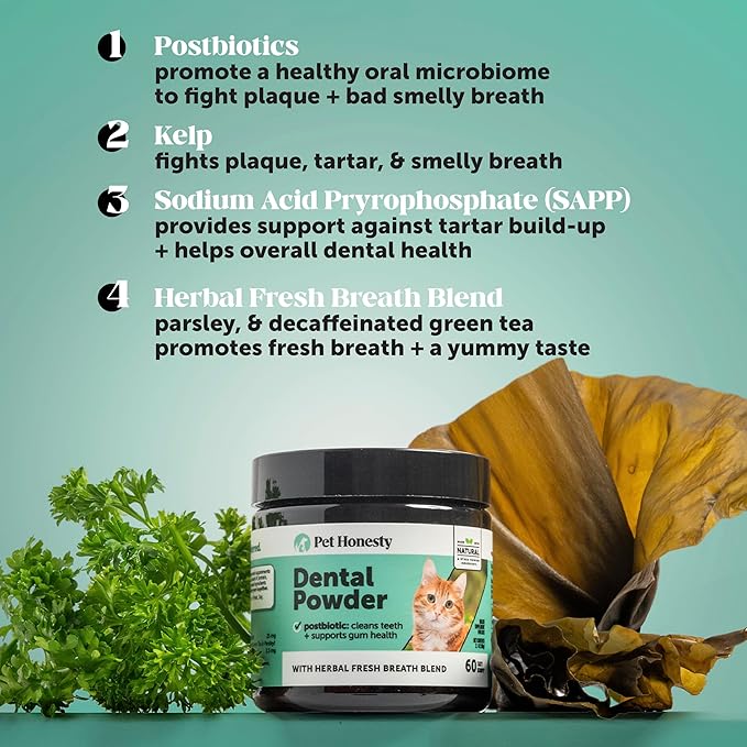 Cat Breath Freshener Dental Health Powder – Reduce Tartar & Plaque, Freshen Breath, and Support Bright Teeth with Natural Herbal Blend with Kelp & Parsley (60 Day Supply)