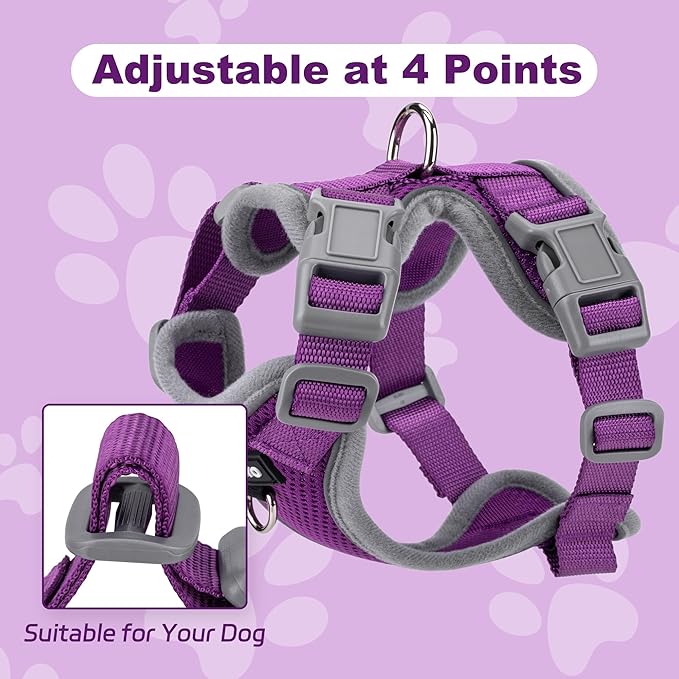 Small Dog Harness and Leash Set, No Pull Adjustable Pet Harness for Small Dogs, Breathable Mesh Rflective Dog Vest Harness (Purple, M)