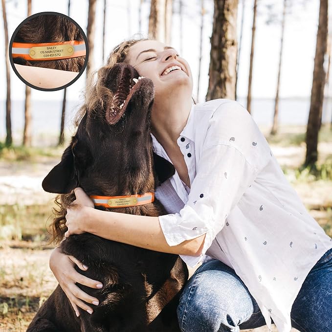 Regal Dog Products Large Orange Reflective Dog Collar with Custom Engraved Name Plate and Heavy Duty Center Ring | Waterproof Biothane Personalized Dog Collars - Other Sizes for Small & Medium Dogs