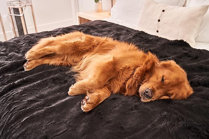 PupProtector Waterproof Throw Blanket for Dogs and Cats, Pet Blanket Cover for Couches, Sofas, Beds, Car Seats, Furniture, Calming Soft Faux Fur, Midnight Black, Large (80" L x 62" W)