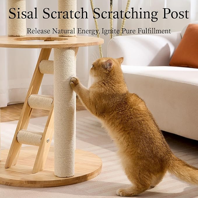 797Audio Solid Wood Cat Tree, 61" Large Modern Tall Cat Tower with Sisal Scratching Posts, Cat Condo, Capsule and Ladder, Aesthetic Multi-Level Cat Climbing Tree for Large Adult Indoor Adult Cats