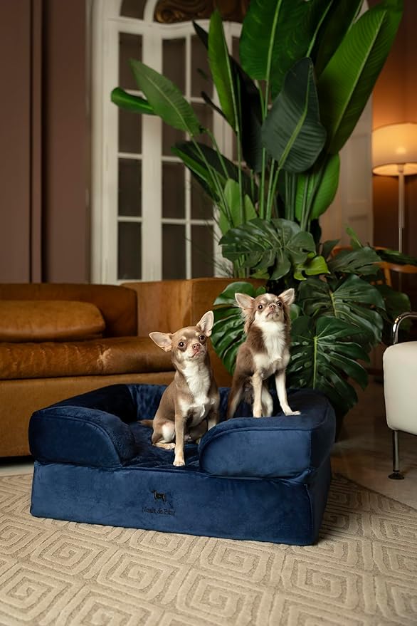 NOAH & PAW Dog Bed, 28x23x11 Inch, Orthopedic Dog Beds for Medium Size Pets, Eggshell Memory Foam Infused with Cooling Gel, Inner Cover, Waterproof, Machine Washable (Velvet Sofa Collection)